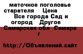 маточное поголовье старателя  › Цена ­ 3 700 - Все города Сад и огород » Другое   . Самарская обл.,Самара г.